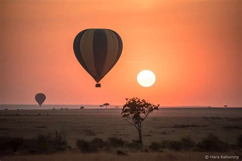 Ballon Safari In Der Masai Mara Afrika Intensiv