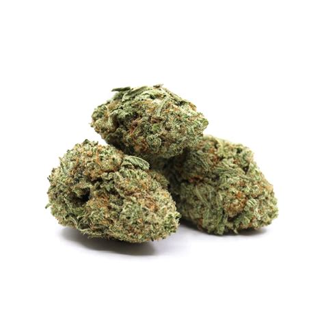 Girl Scout Cookies Naked Canada