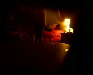 Amateur Trio Making Out BoyFriendTV