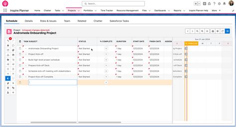 Gantt LWC - Getting Started with Inspire Planner | Inspire Planner Help