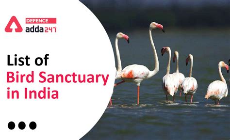 List of Bird Sanctuary of India