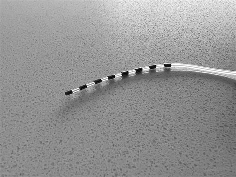 The Shocking Truth About The Top Of Your Spinal Cord - Truth or Fiction