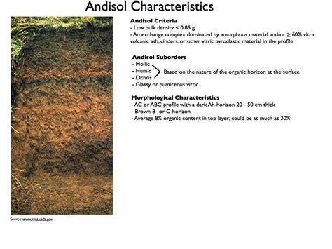 Wine -- Mise en abyme: Volcanic soils