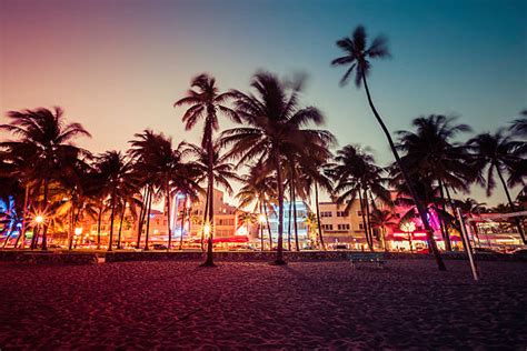 3,200+ Miami Beach At Night Stock Photos, Pictures & Royalty-Free ...