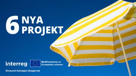 Sex nya projekt får EU pengar från Interreg Interreg Öresund Kattegat Skagerrak