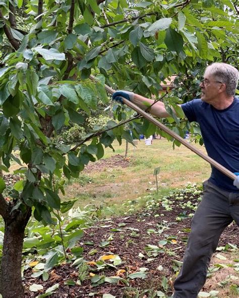 Meet the Portland Fruit Tree Project | Portland.gov