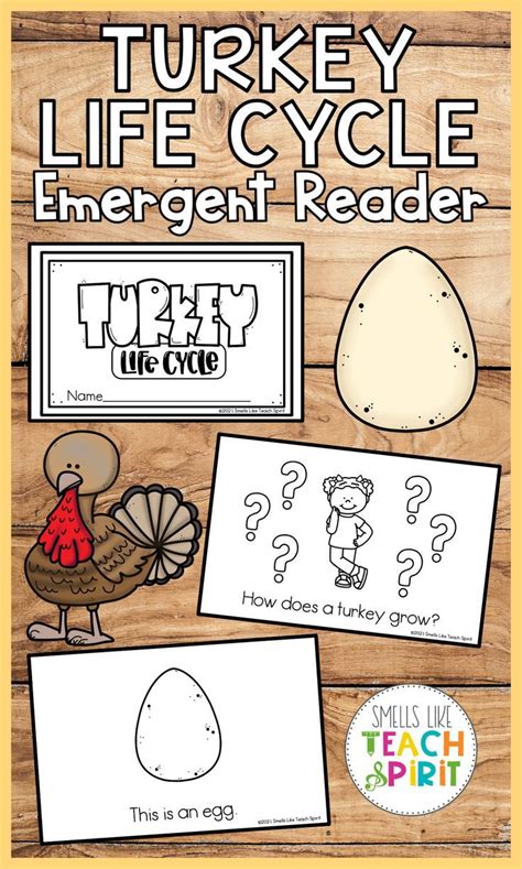 Your Students Will Learn About The Life Cycle Of A Turkey With This