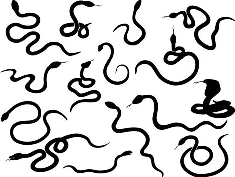 Snake Outline Vector Images (over 8,400)