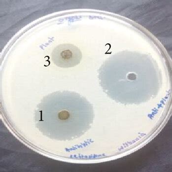 Representation of the synergistic effect of medicinal plants in ... 