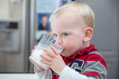 Milk For Babies And Toddlers A Dietitians Helpful Guide Sarah