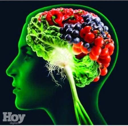 Salud Alimentos que ayudan en la nutrición del cerebro