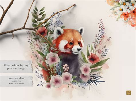 Red Panda Clipart Watercolor Red Pandas Whimsical Watercolor Red