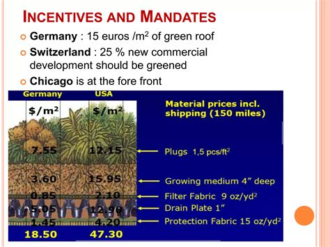 Green roof presentation | PPTX
