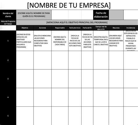 Programa De Trabajo Ejemplos Formatos Word Excel