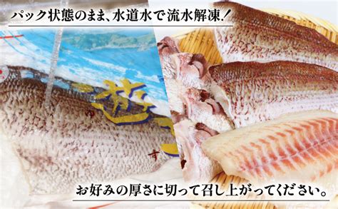 遊子 真鯛 セット 計 15kg 愛媛県漁業協同組合遊子支所 鯛 マダイ タイ 急速冷凍 鯛 皮なし 皮付き フィーレ 加工 タイカマ 真空