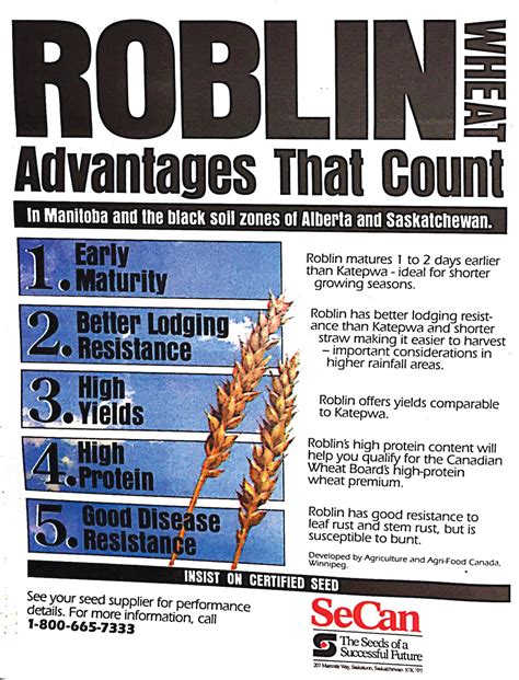 The Roblin wheat advantage - Manitoba Co-operator