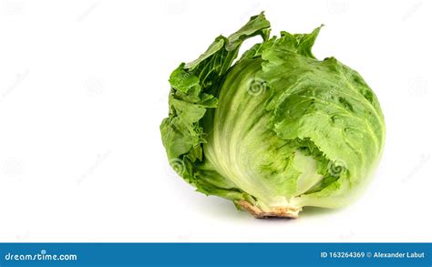 Couve De Alface De Icebergue Fechada Folhas De Salada Verde Grandes