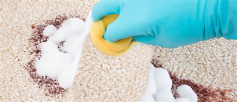 Home Carpet Cleaning: Tips, Tricks & More | dubizzle