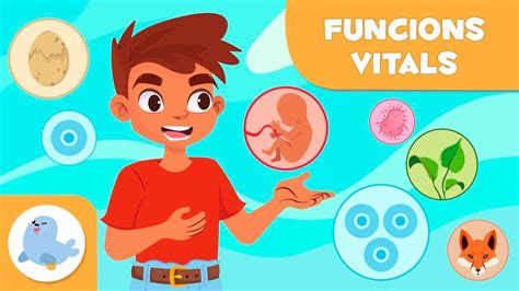 Les Funcions Vitals Dels Ssers Vius Relaci Nutrici I Reproducci