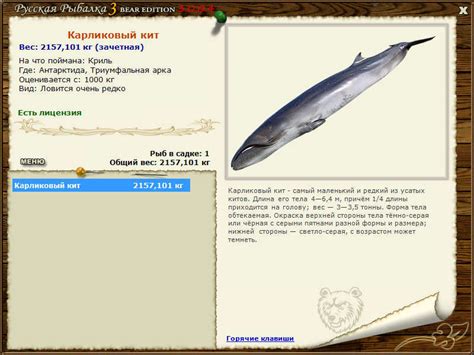 Изображение было размещено пользователем ресурса: