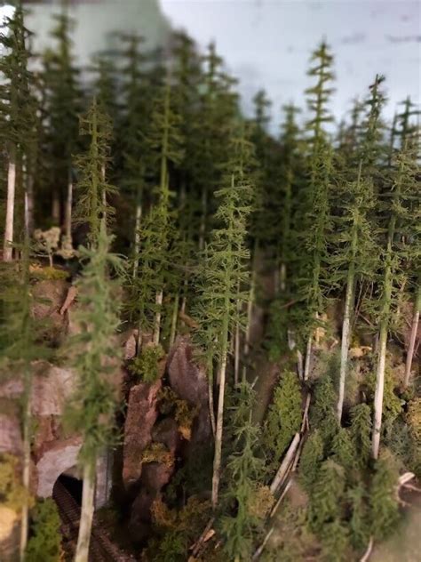 Ho Scale Model Railroad Scenery Trees Ebay