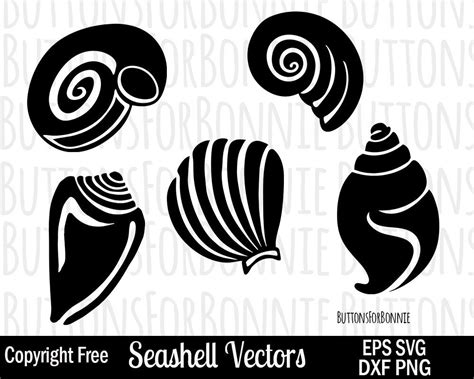 Seashell SVG Ocean Svg Summer Svg Beach Svg Seashell - Etsy | Seashells ...