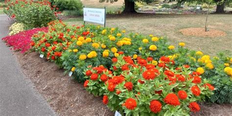 Cornell Cooperative Extension Cutler Botanic Garden