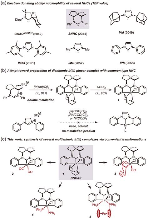 几种螺环稠合六元环氮杂卡宾 铱（iii）钳型配合物的衍生合成腾讯新闻
