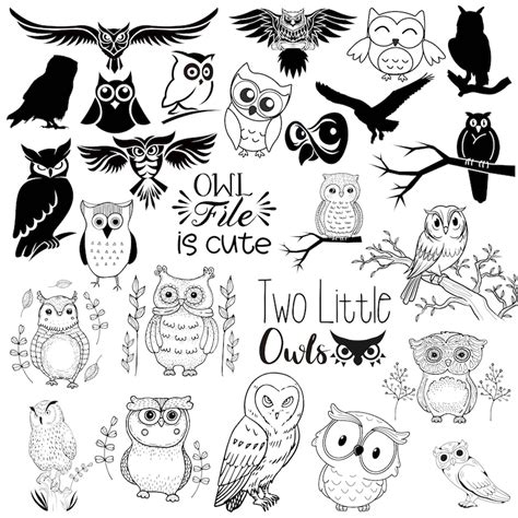 Owl SVG Bundle Birds Clipart Owl Svg Files For Silhouette Owl Files