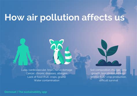 Effects of air pollution on our health & the environment - Demosat