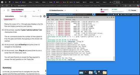 Can't get the flag to Linux CLI Basics 1.2 guided excersize - IT and ...
