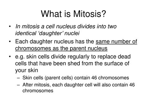 Ppt Cell Division Part 2 Introduction To Mitosis And The Cell Cycle Powerpoint Presentation