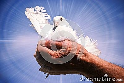 Dove Holy Spirit Stock Photo - Image: 13608350