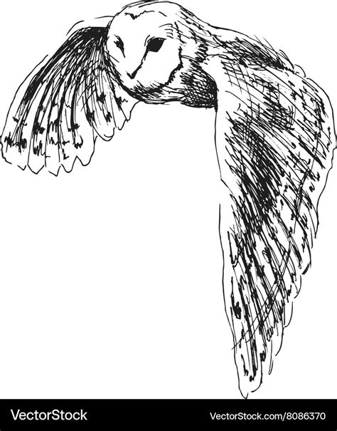 Hand Sketch Flying Owl Royalty Free Vector Image