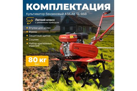 Бензиновый культиватор ASILAK SL-85B AS1529-8 - выгодная цена, отзывы ...