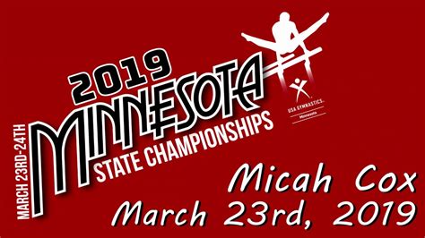 Level 6 Men S Gymnastics Minnesota State Championships 2019 Micah Cox Youtube