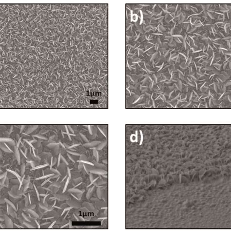 Sem Images Of Synthesized Products For Vertically Aligned Sns