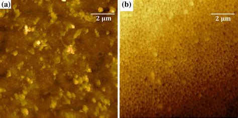 M Afm Images In Dynamic Mode For The Electrodeposited Cobalt