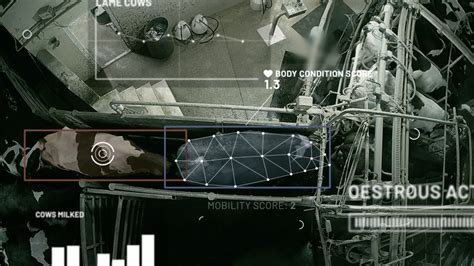 Gea Showcasing Machine Vision Solution At Royal Cornwall Cattleeye