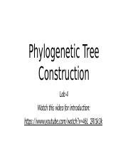 Lab 4 Phylogenetic Tree Construction.pptx - Phylogenetic Tree ...