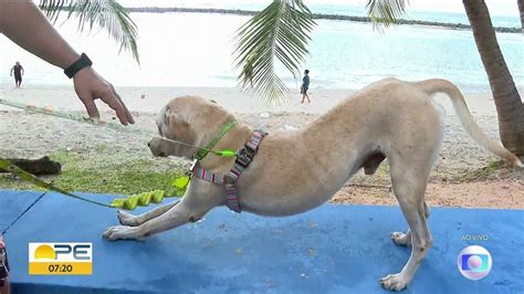 Frevo Caramelo Cultural Passeia Na Praia E Se Adapta Vida A Nova