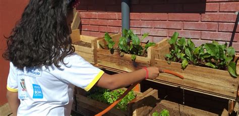 Plantando O Futuro Horta Educacional No Programa Aabb Comunidade See