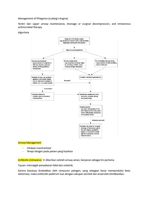 Management of Phlegmon | PDF