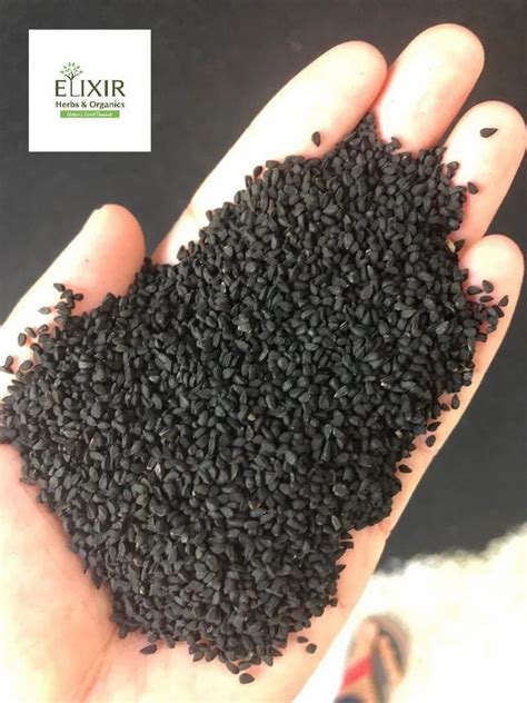 Natural Black Cumin Kalonji Seeds Kg Pp Bag At Best Price In