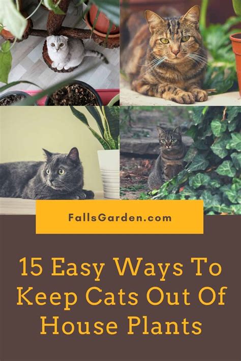 How To Keep Cats Out Of Your Yard Easy Ways