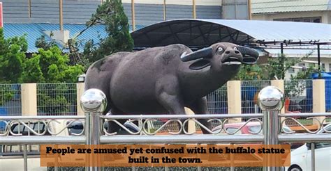 Locals Have Their Say On This Buffalo Statue In Serian Town