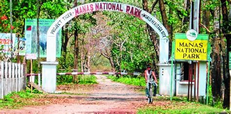 Nights Days Tour Manas National Park Guwahati Luxvac Tours And