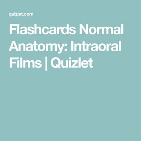 Flashcards Normal Anatomy Intraoral Films Quizlet Flashcards