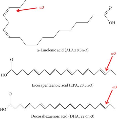 ω-3 polyunsaturated fatty acids | Download Scientific Diagram