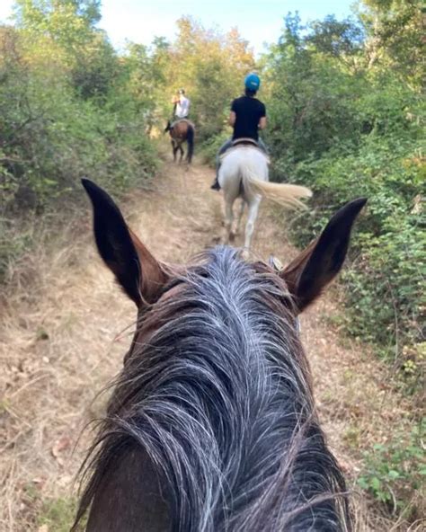 Passeggiate A Cavallo In Toscana Le Migliori Holidoit